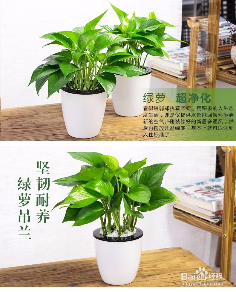 新装修的房屋如何除甲醛等有害物质