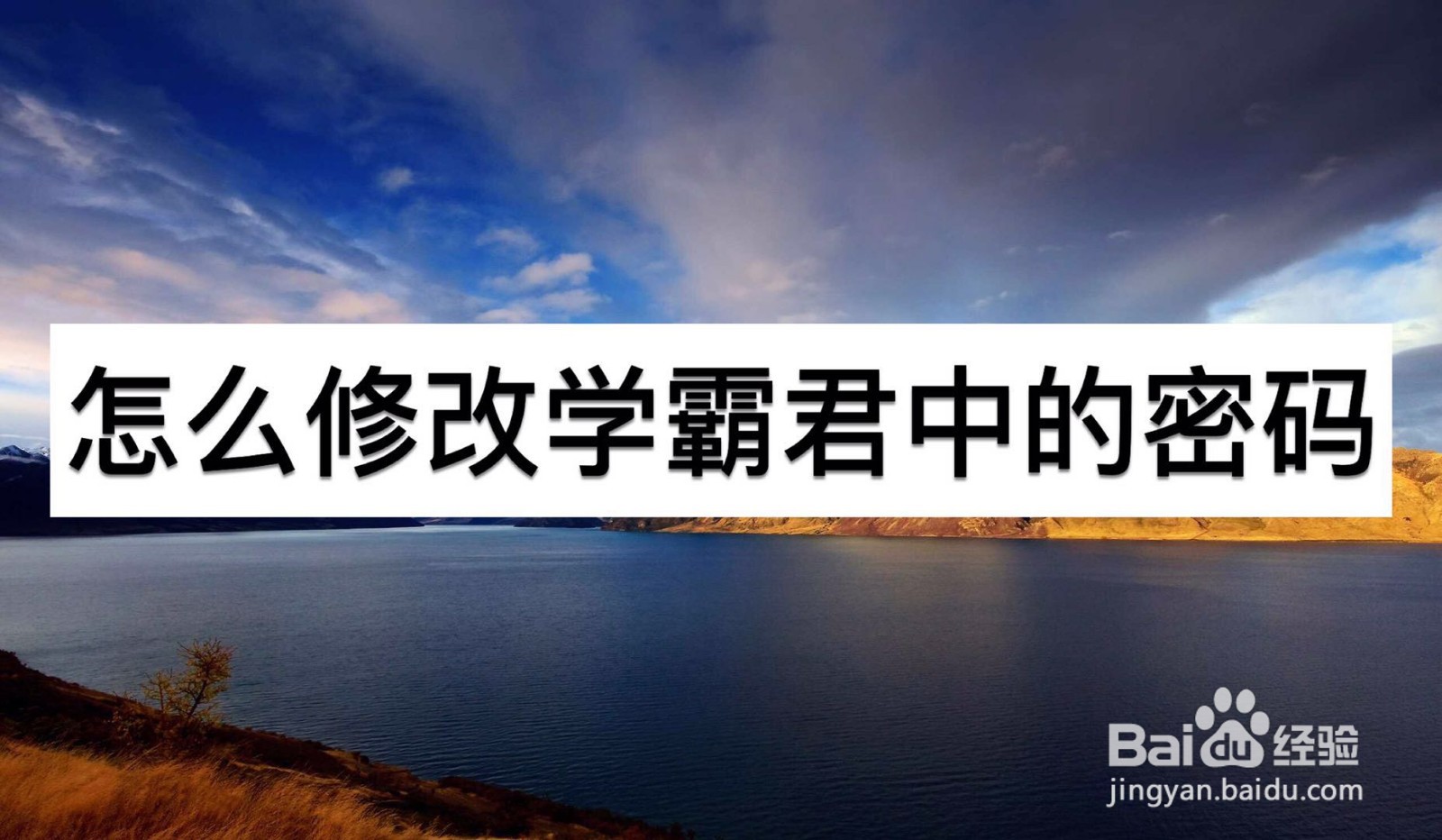 怎么修改学霸君中的密码