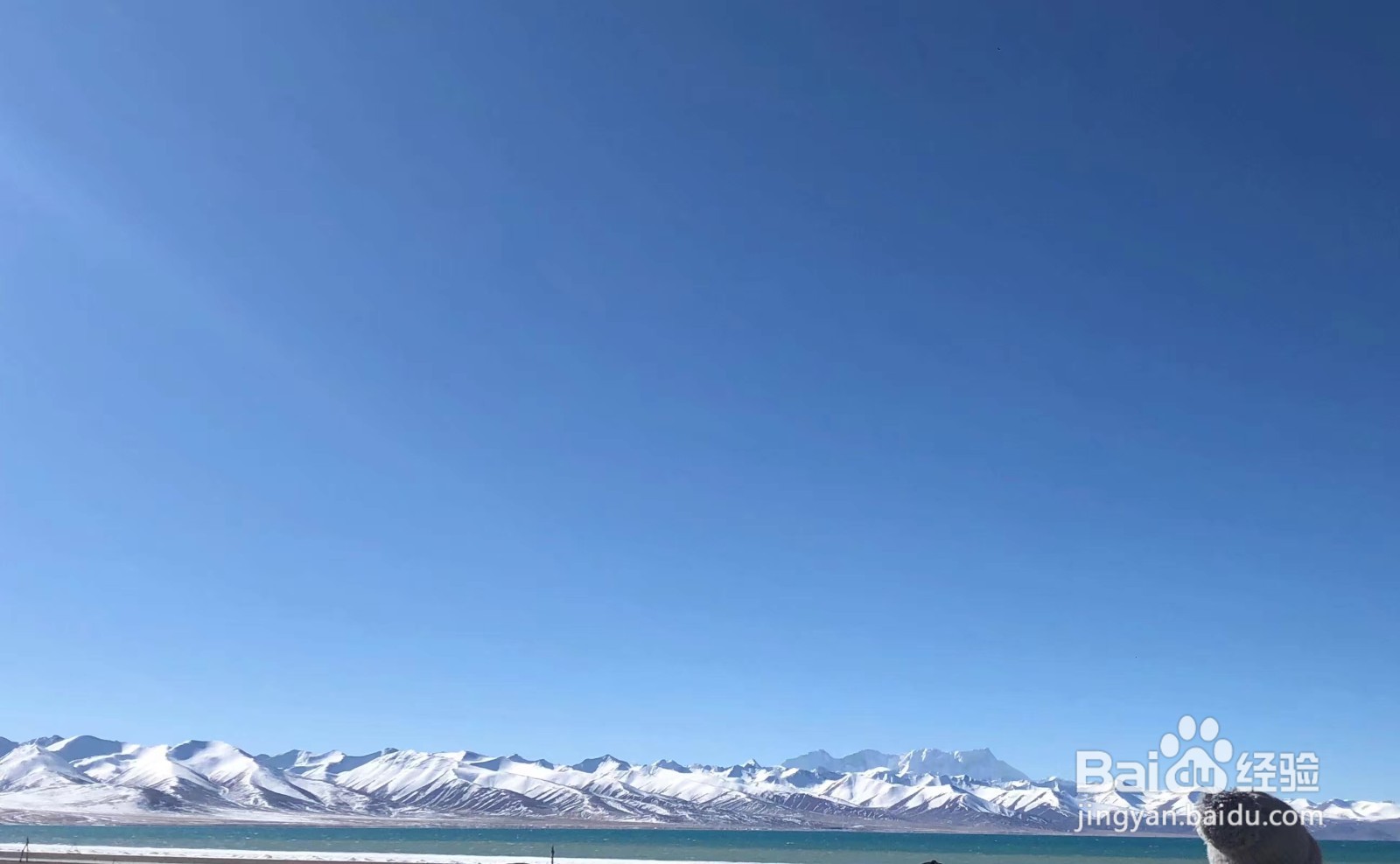 重庆到西藏拉萨怎么游玩?