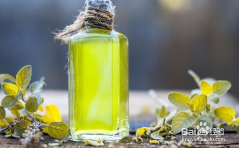 橄榄油怎么吃减肥