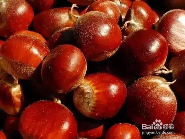 最养胃的十种食物