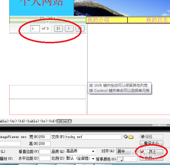 Dreamweaver学习：[35]网页中如何插入滚动图像