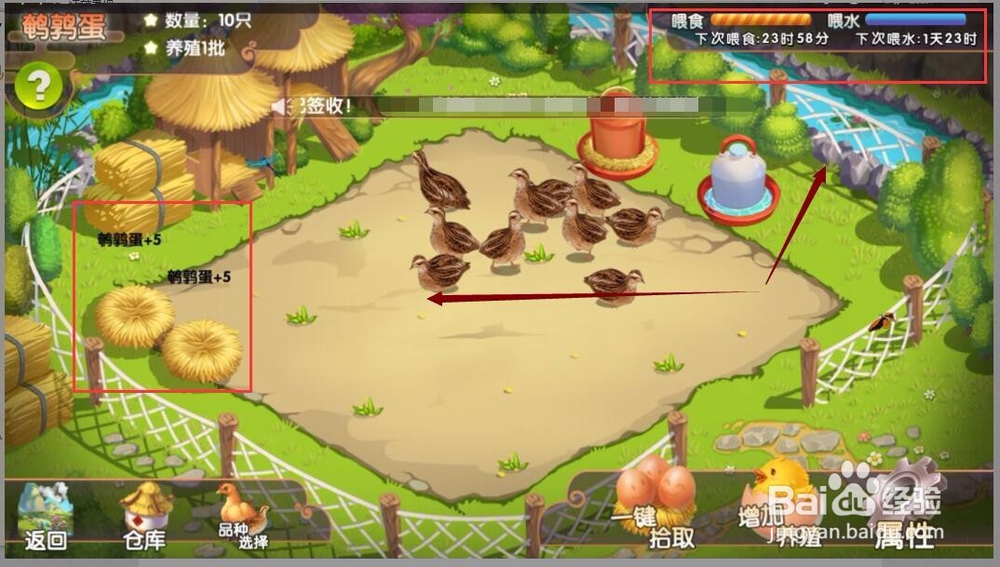 进入一乙农场领取新人奖励鸡蛋与养殖10只鹌鹑