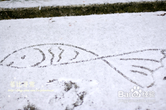 温哥华：雪中作画(组图)