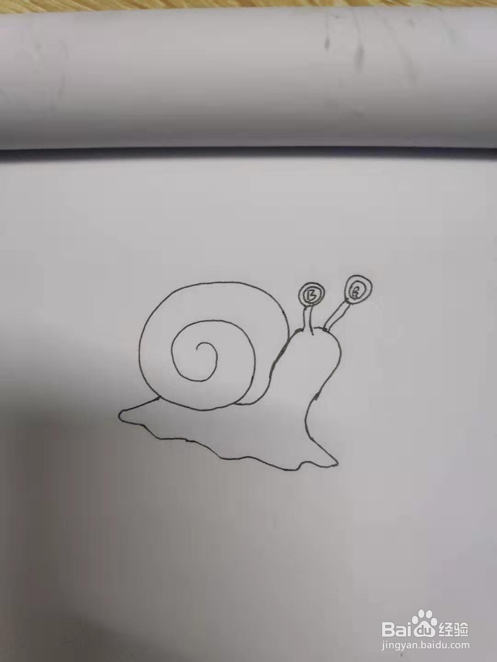 蜗牛的简笔画