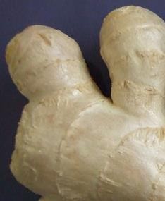 生姜应该怎么挑