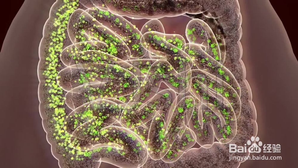 请别掉入清肠的陷井中