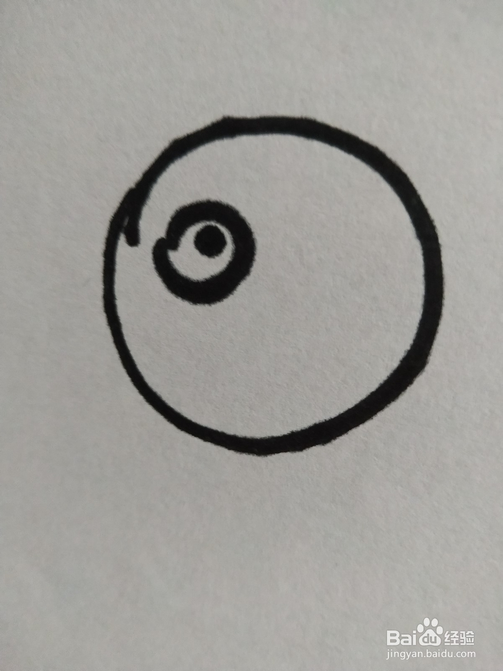 蜜蜂的简笔画技法9