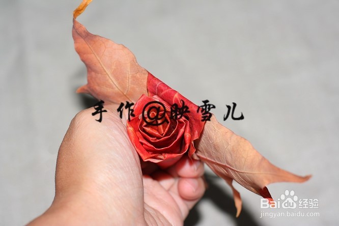 如何用叶子做玫瑰花