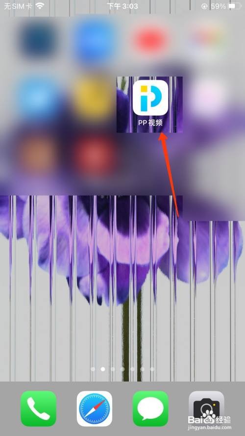 PP视频怎么进入综艺