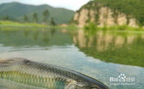 如何用手机拍出有气质的照片？