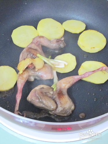 【飞禽走兽】香煎迷迭香鹌鹑