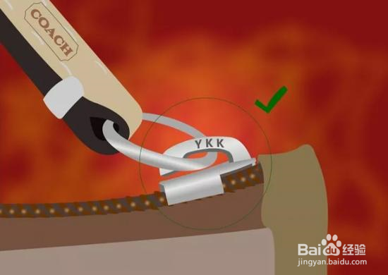 奢侈品鉴别:蔻驰(coach)贝壳包真假辨别