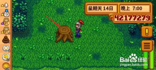 星露谷物语硬木怎么获得