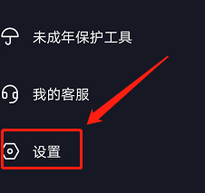 抖音如何开启大字简明模式