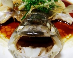 动手做清蒸鲈鱼
