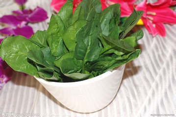 春季如何食疗养生