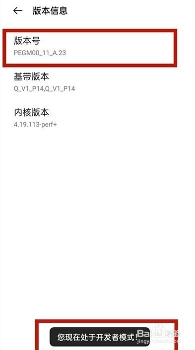 一加9r开发者模式在哪进