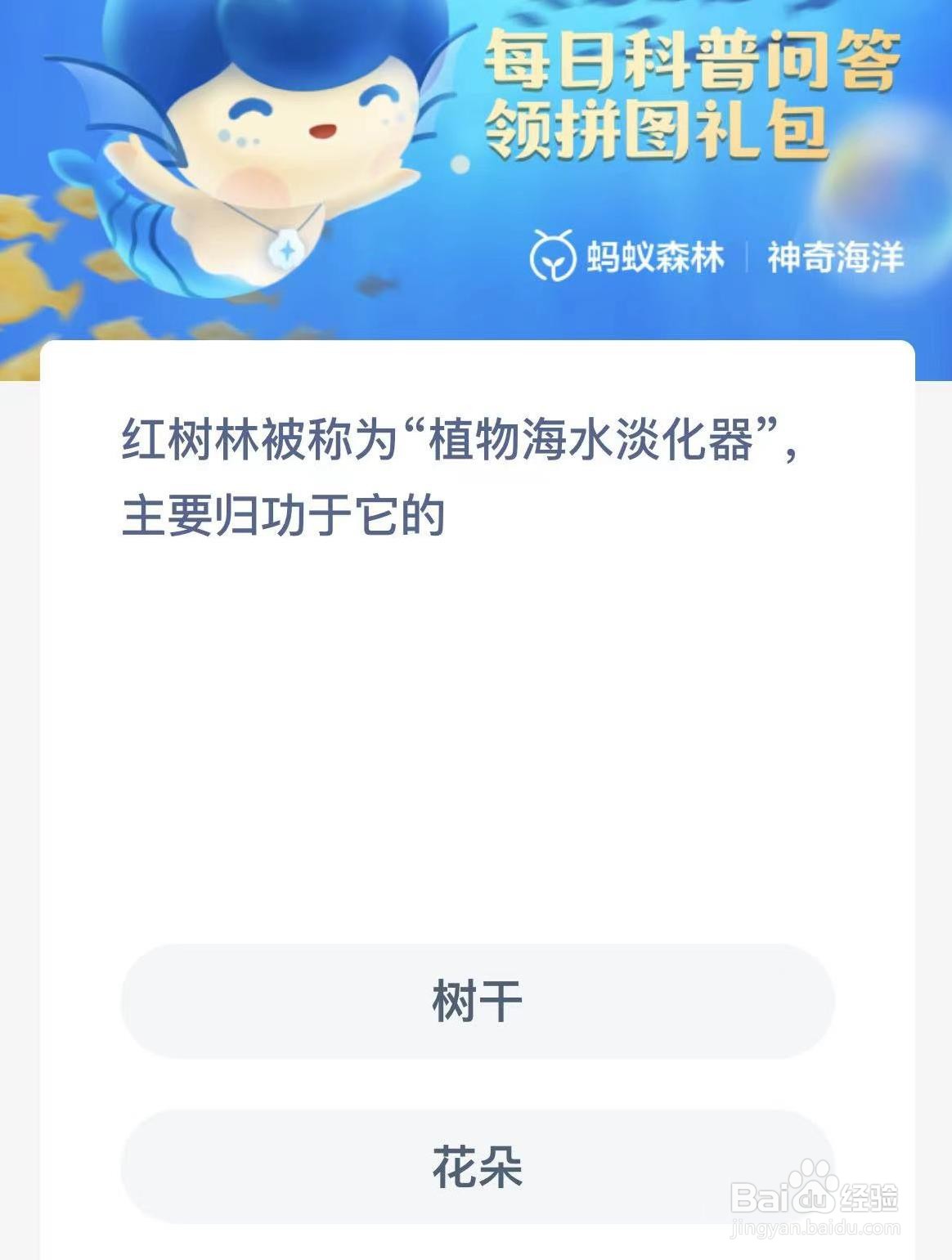 红树林被称为植物海水淡化器主要归功于它的
