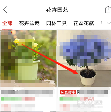 如何关闭拼多多短视频