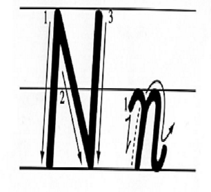 n的笔顺怎么写