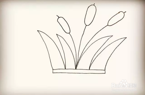 简笔画画芦苇