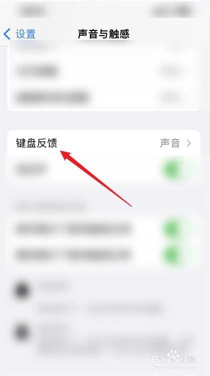 在苹果手机中怎么设置键盘反馈