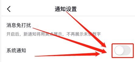 抖音系统通知在什么地方
