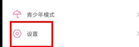 哔哩哔哩怎么开启详情页自动全屏