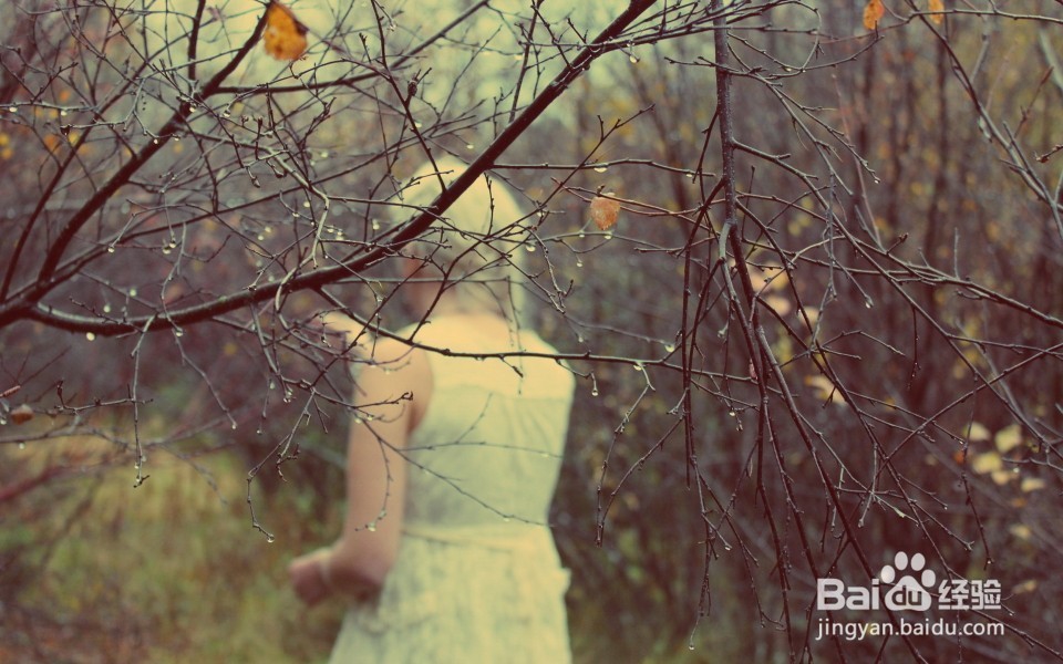 新手如何提高新品宝贝的销量