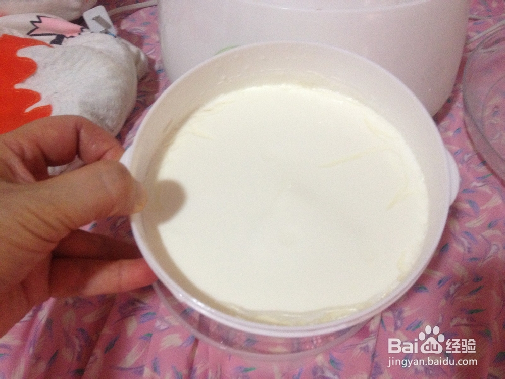 如何自制酸奶?