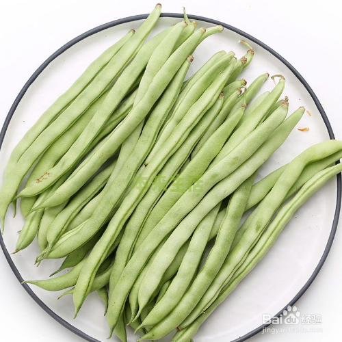 四季豆怎样算熟