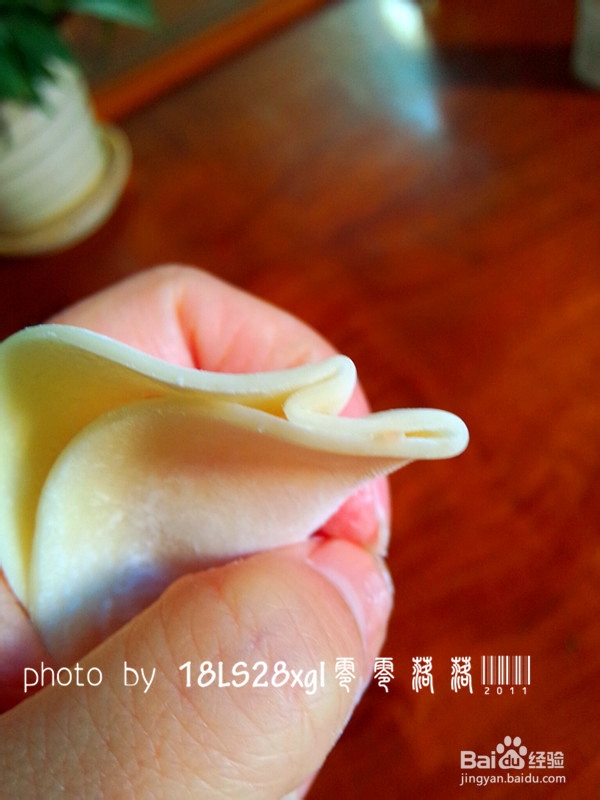 补肝明目：胡萝卜水饺