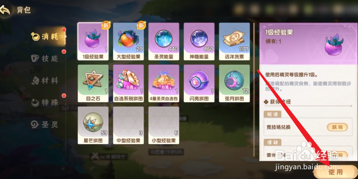 西普大陆怎么升级精灵