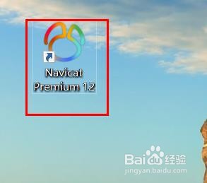 navicat选项卡为打开特定或一组选项卡
