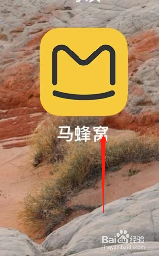 马蜂窝如何订机票