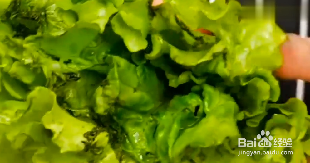 如何成为厨房小能手