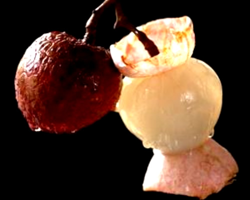 冬天到了吃什么水果好