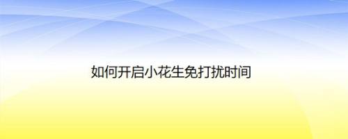 如何开启小花生免打扰时间