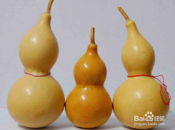 生葫芦如何制作为干葫芦