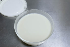 一口入魂的豆乳布丁