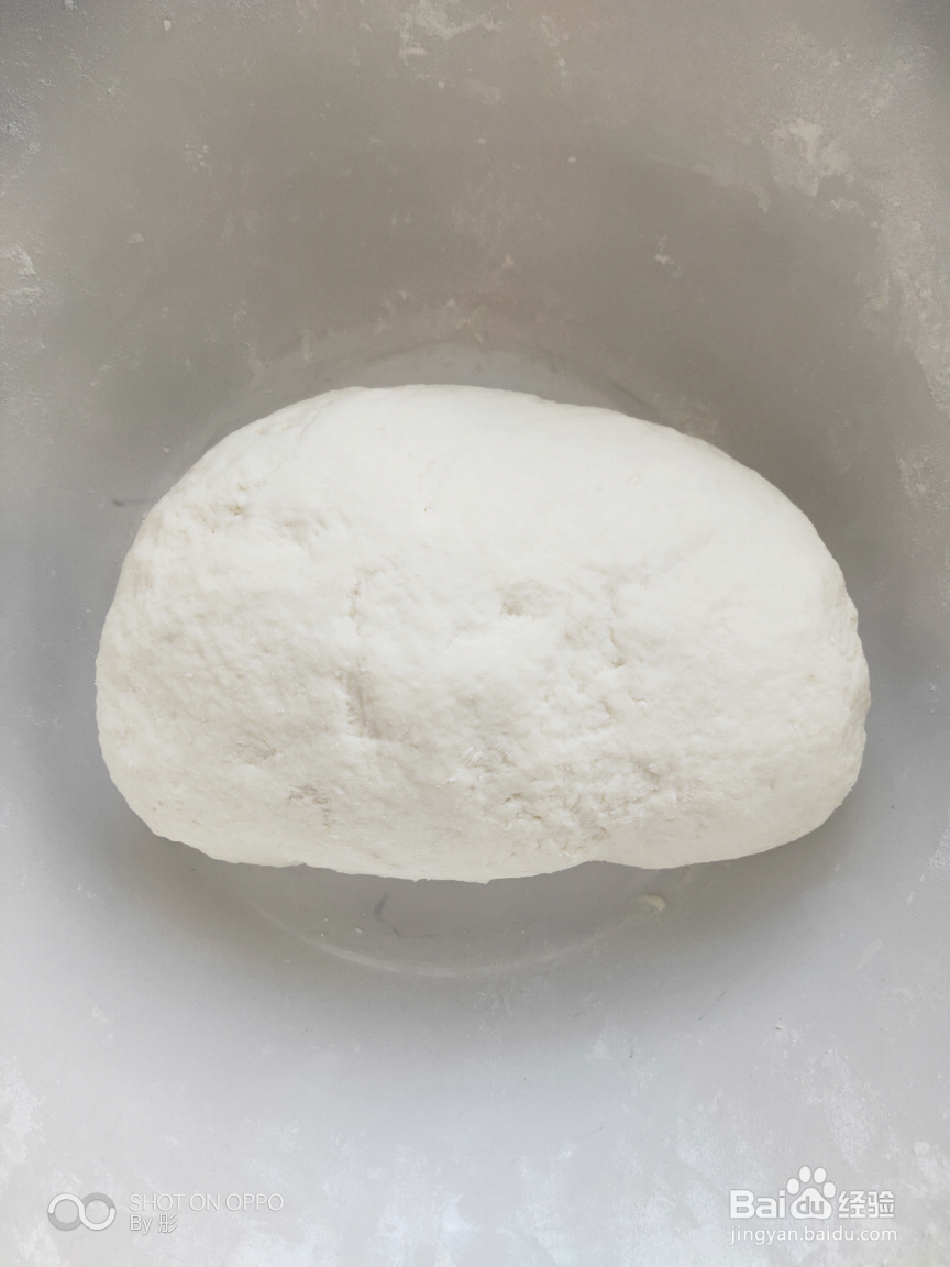 香香脆脆的猪肉荠菜饺子