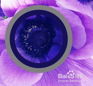 Photoshop cs6教程：[22]用吸管工具吸取颜色