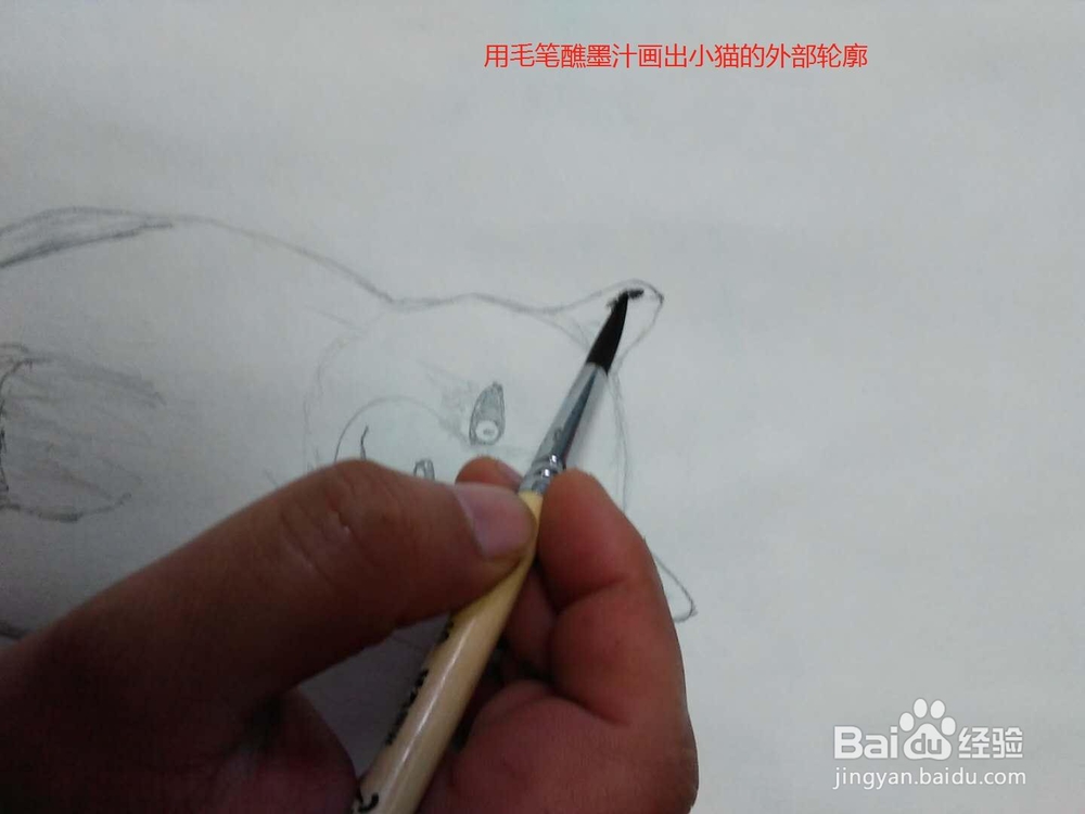 水彩画坐着的小猫的画法
