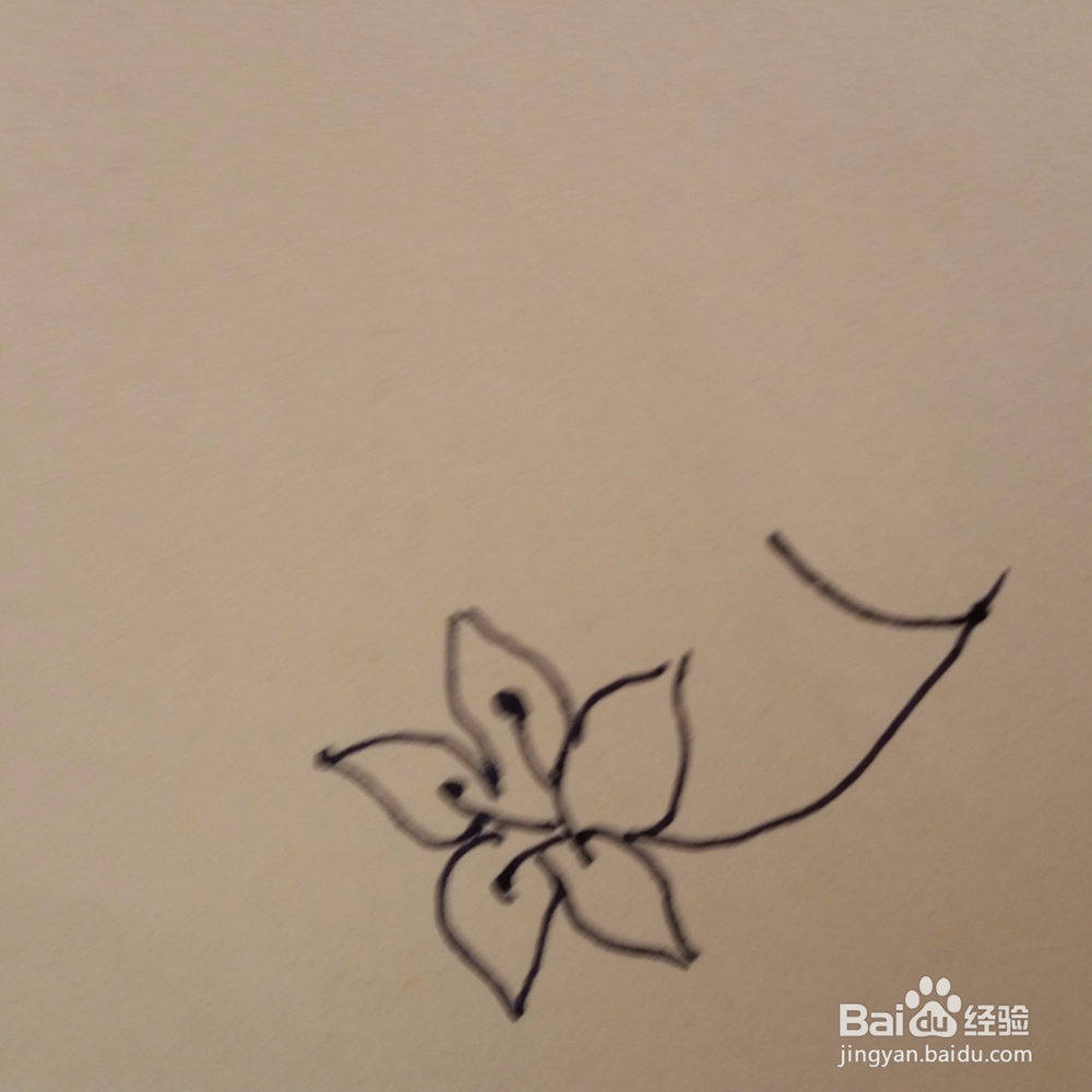 桔梗儿童手工简笔画教程