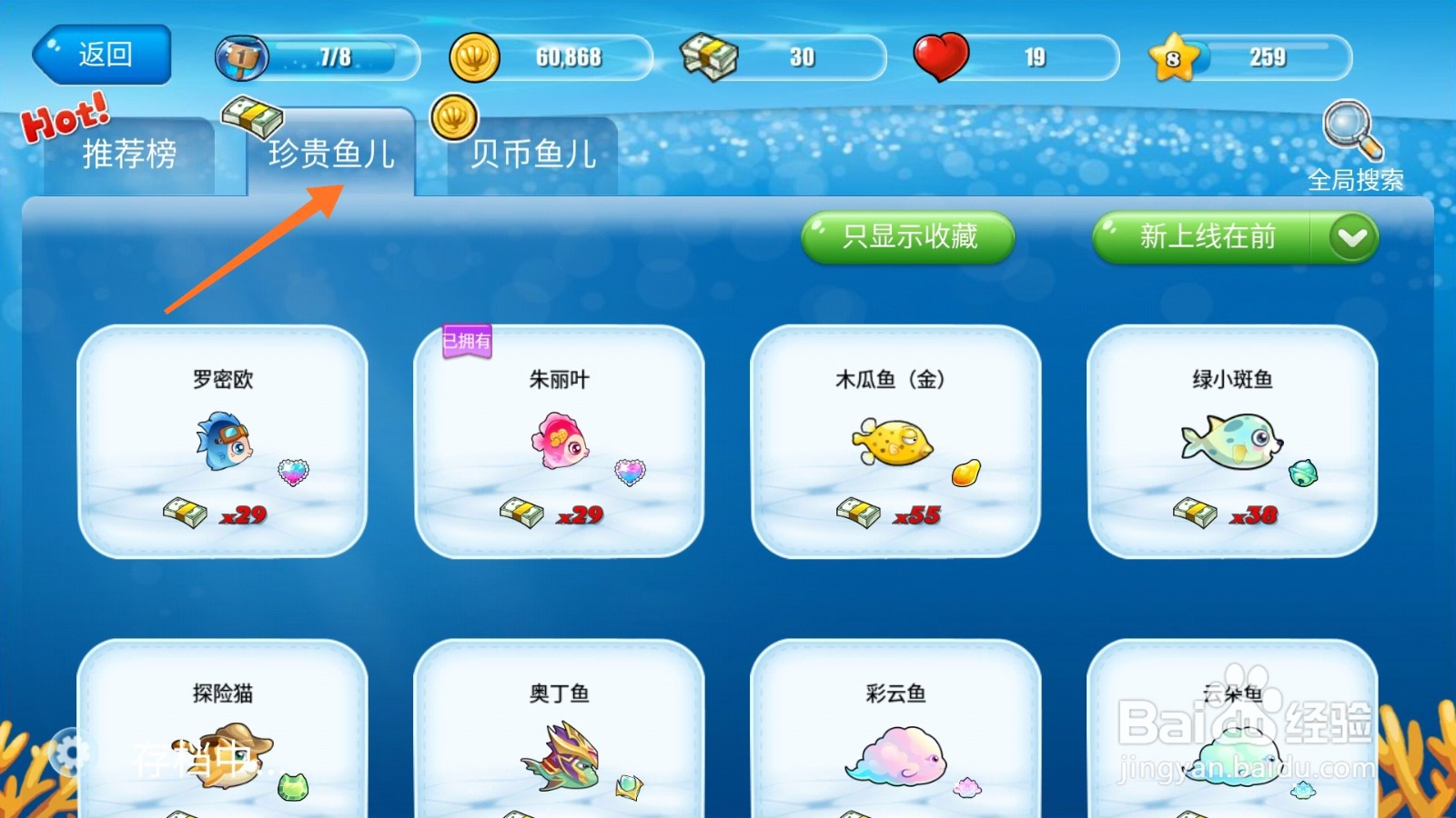 开心水族箱中怎么购买电光橙红绿灯鱼