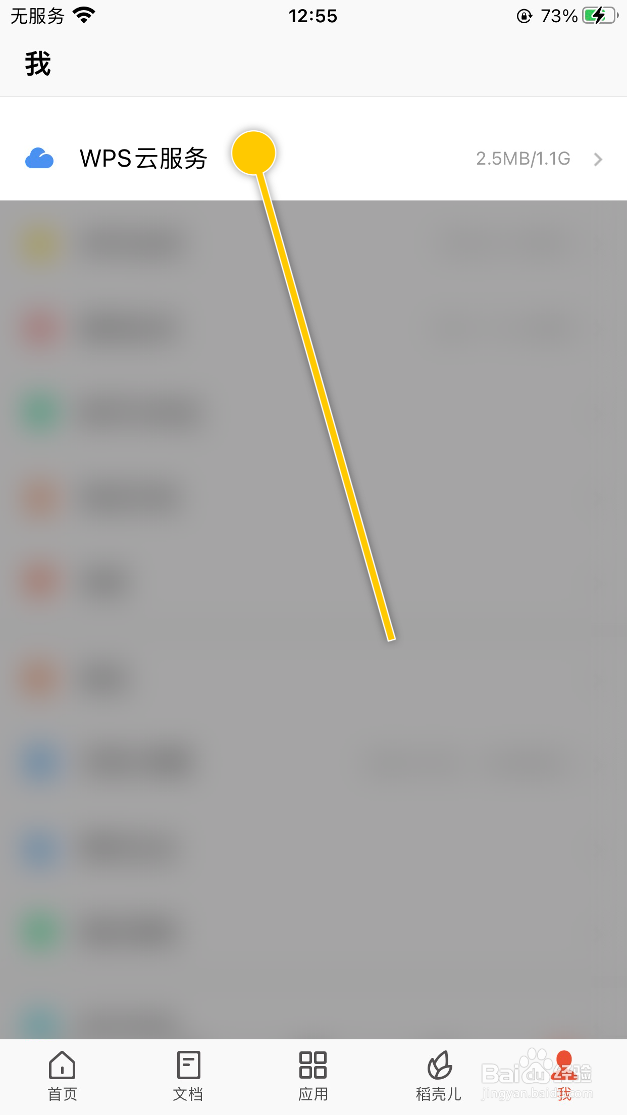 WPS Office怎么开启WPS云服务的文档云同步功能