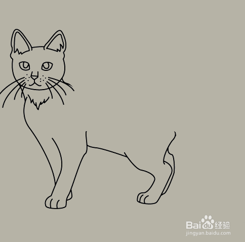 如何手工画小猫咪的简笔画?