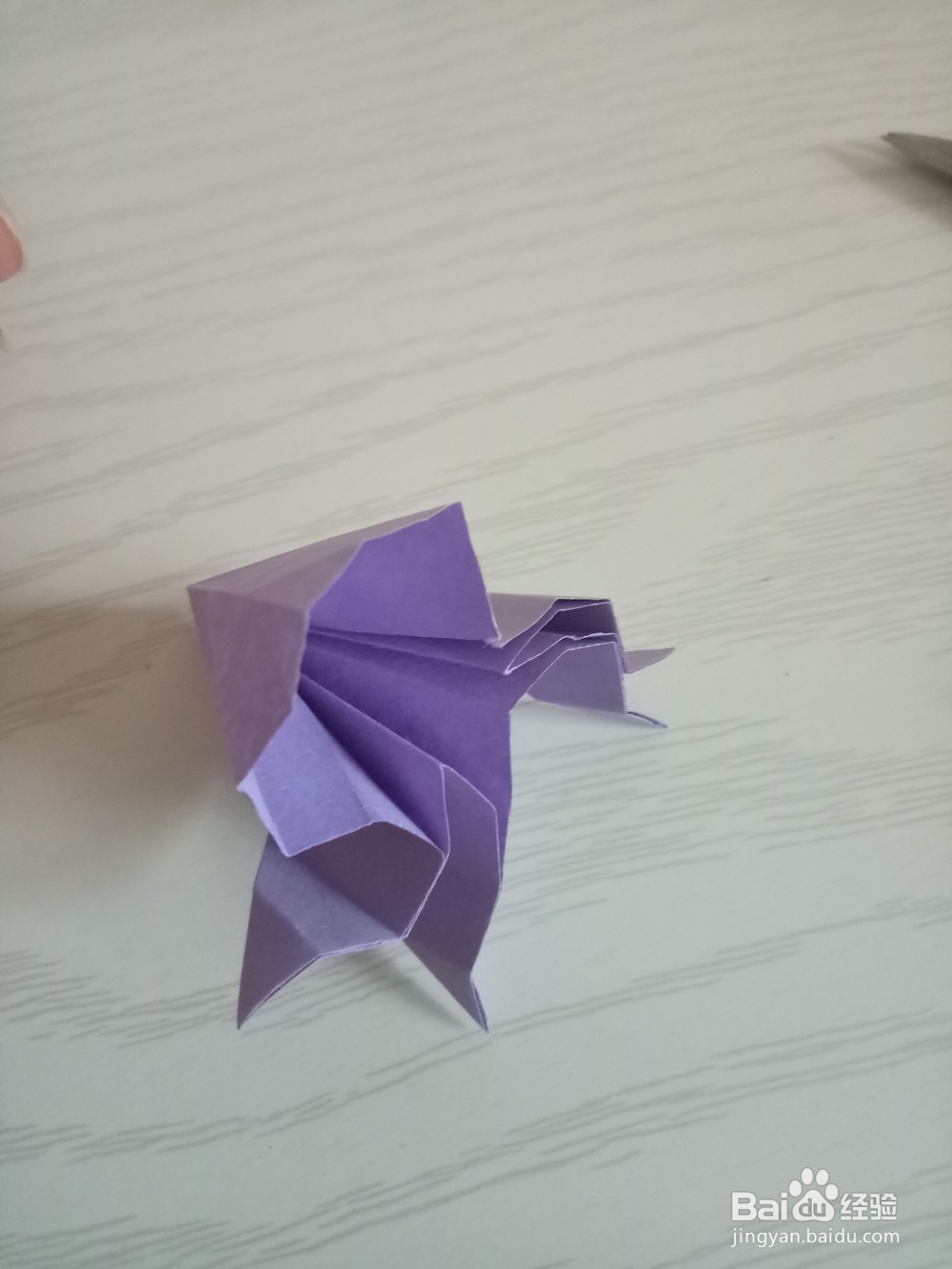 牵牛花折叠方法 下