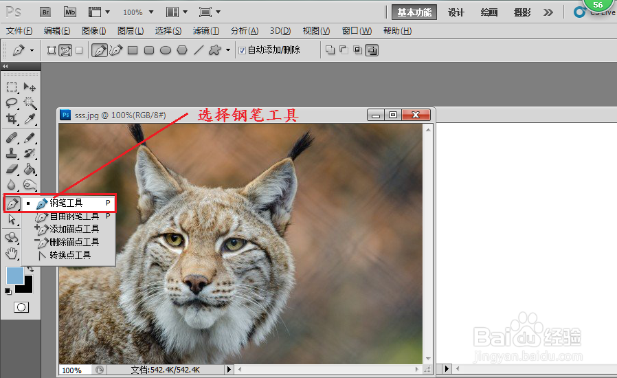 photoshop中怎么用钢笔工具抠图